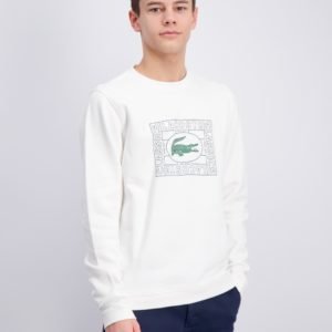 Lacoste Sweatshirt Neule Valkoinen