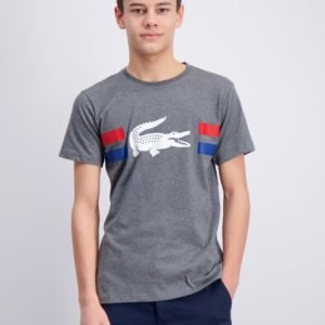 Lacoste T Shirt T-Paita Harmaa