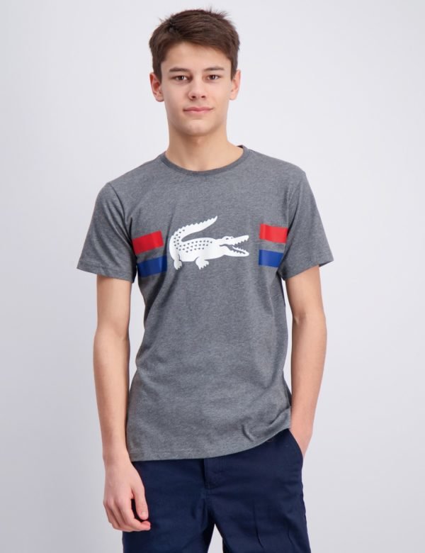 Lacoste T Shirt T-Paita Harmaa