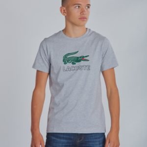 Lacoste Tee T-Paita Harmaa