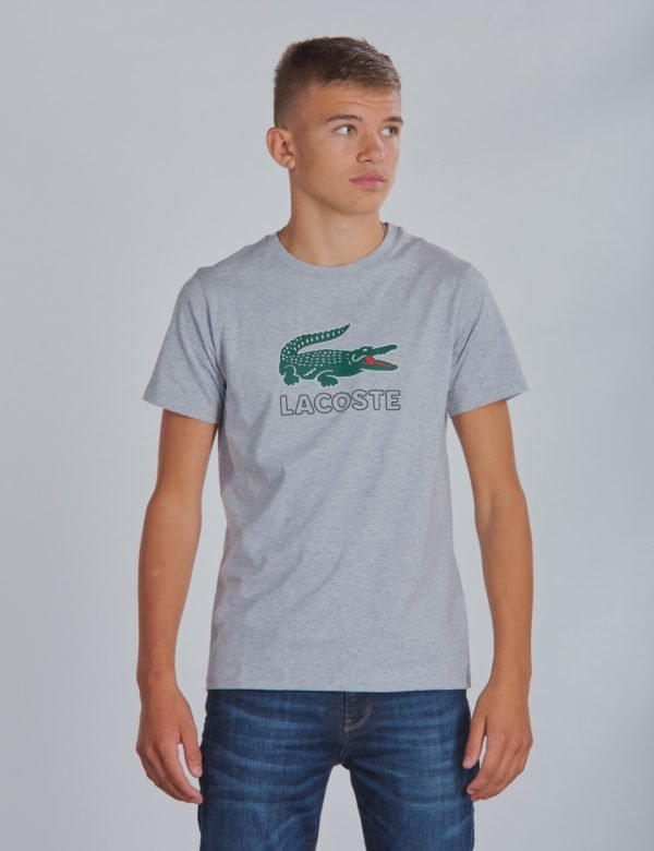 Lacoste Tee T-Paita Harmaa