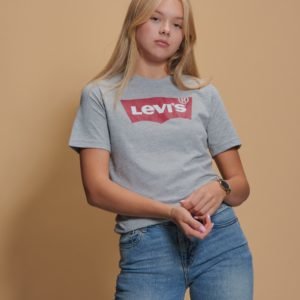 Levis Batwing Tee T-Paita Harmaa