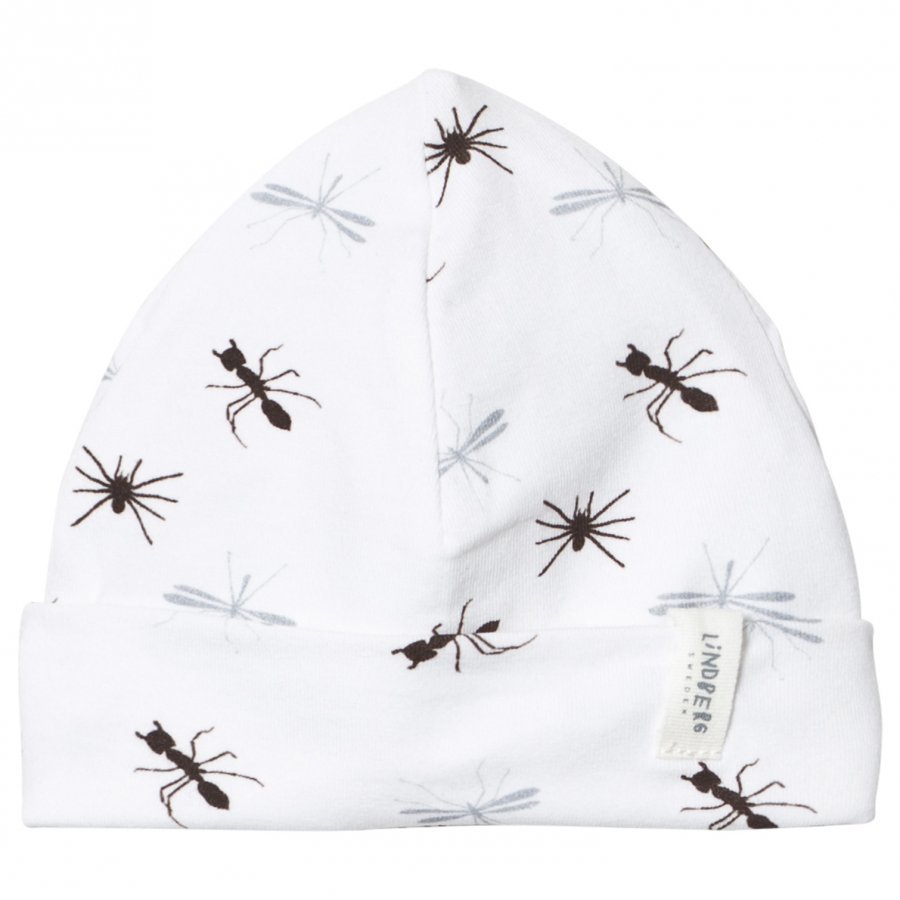 Lindberg Malm Hat Insect Pipo