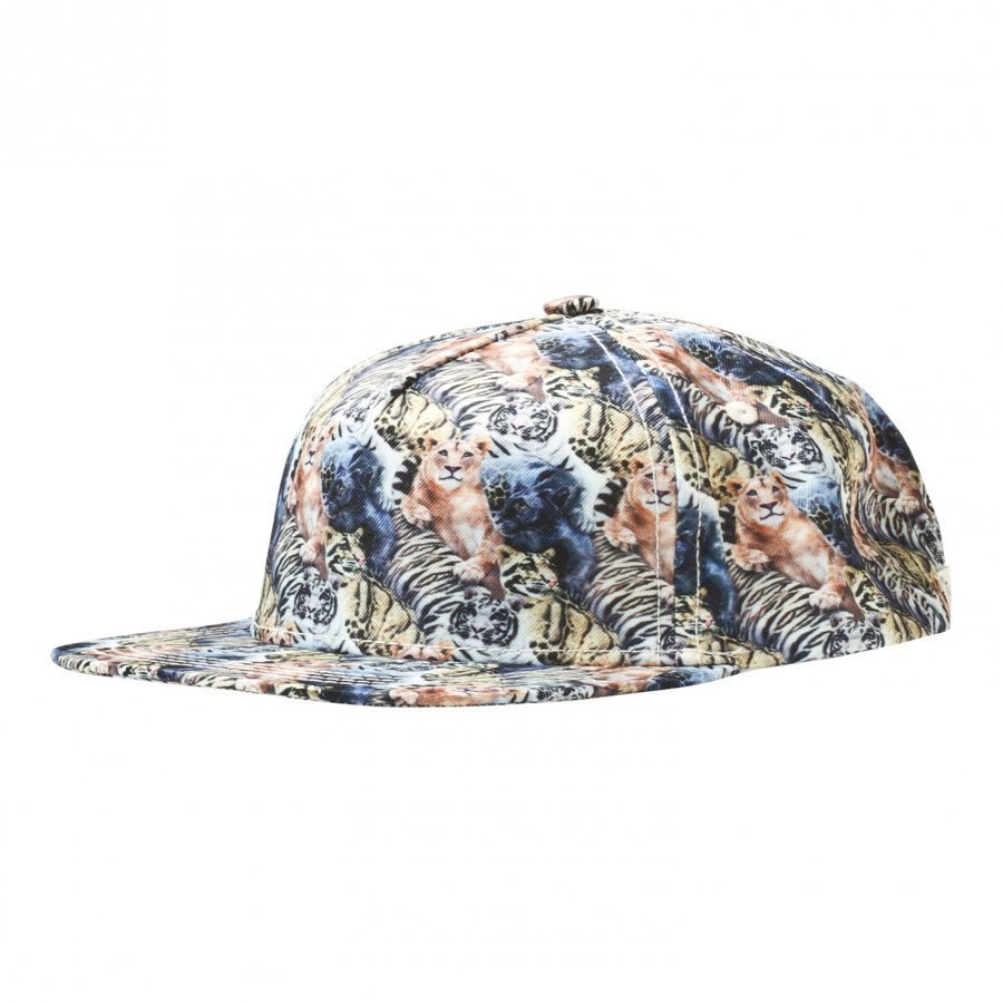 Molo Big Shadow Jr Cap Wild Cats Swim Lippis