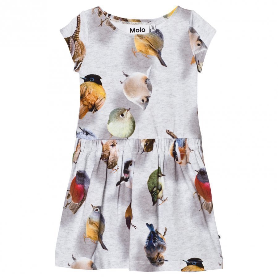 Molo Carla Dress Bouncing Birds Mekko