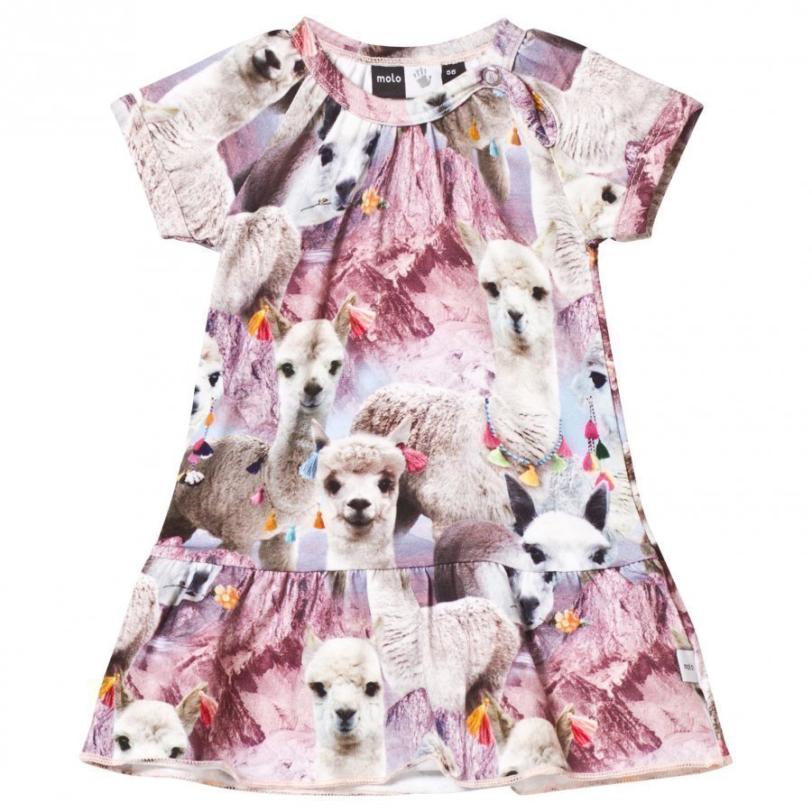 Molo Cibbe Dress Lovely Llama Mekko