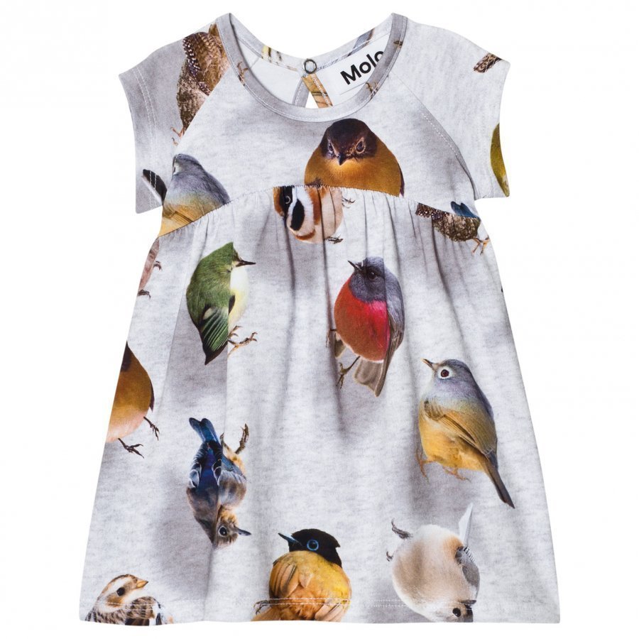 Molo Cille Dress Bouncing Birds Mekko