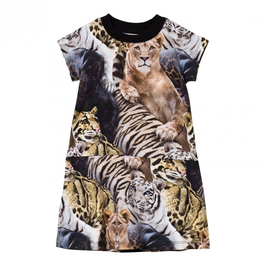 Molo Cissy Dress Wild Cats Mekko