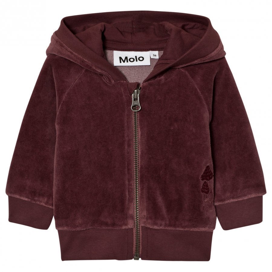 Molo Dorothy Hoodie Purple Mist Huppari