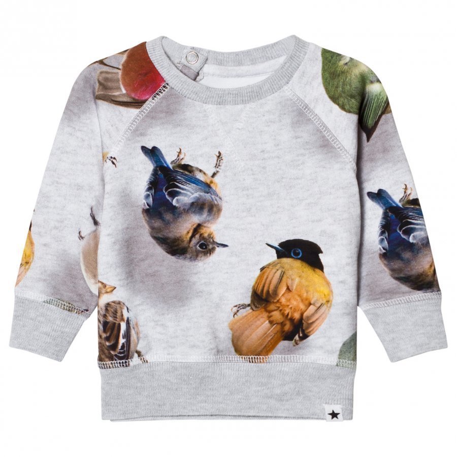 Molo Elsa Sweater Bouncing Birds Pitkähihainen T-Paita