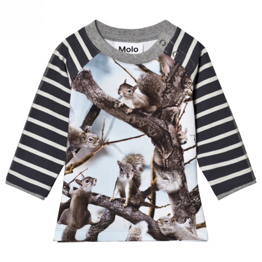 Molo Elton T-Shirt Squirrels Pitkähihainen T-Paita