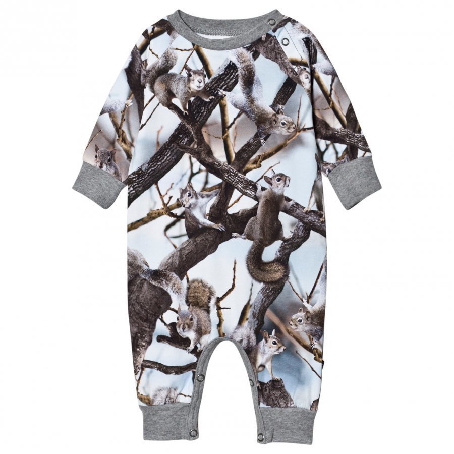 Molo Fairfax One-Piece Squirrels Body