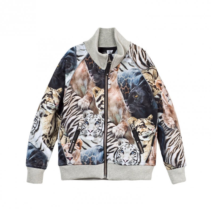 Molo Hestie Soft Shell Jacket Wild Cats Kuoritakki