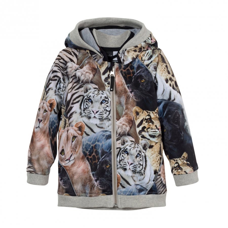 Molo High Soft Shell Jacket Wild Cats Kuoritakki