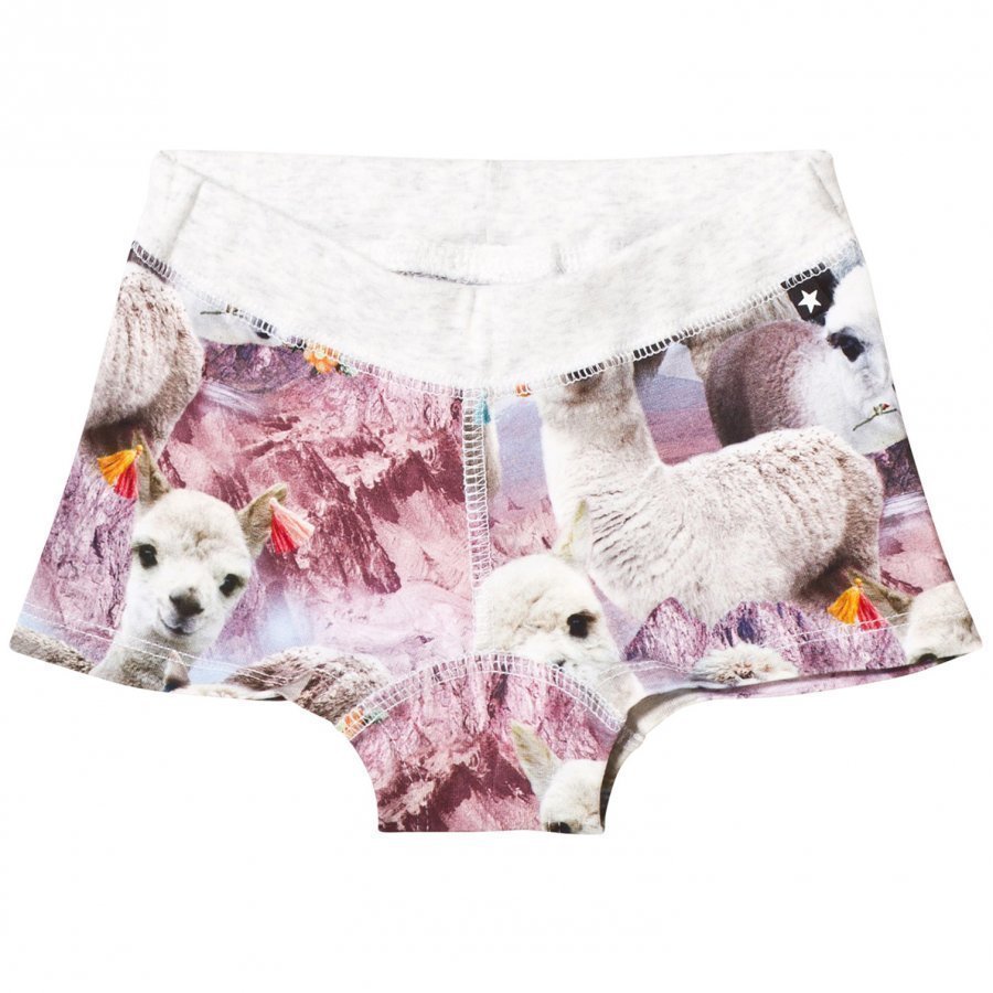 Molo Joanna Boy Shorts Lovely Llama Pikkuhousut