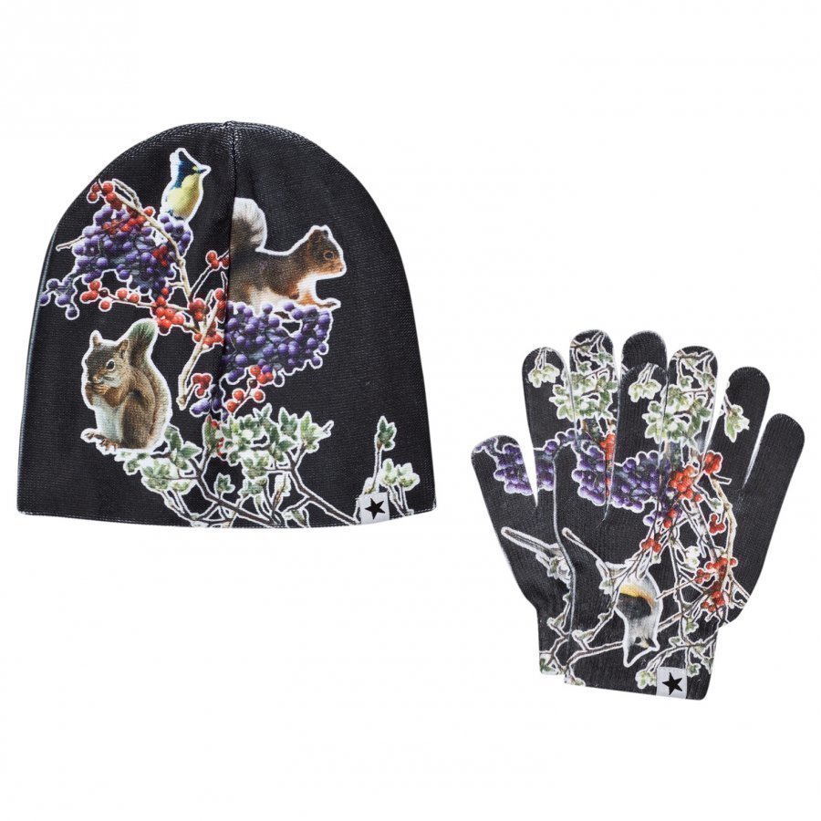 Molo Kaya Set Autumn Creatures Hattu Huivi Ja Hanskat Setti