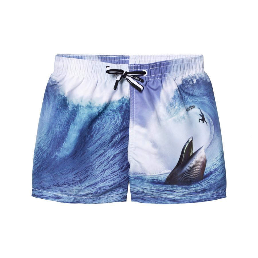 Molo Niko Swimming Shorts Surfer Meets Whale Uimashortsit