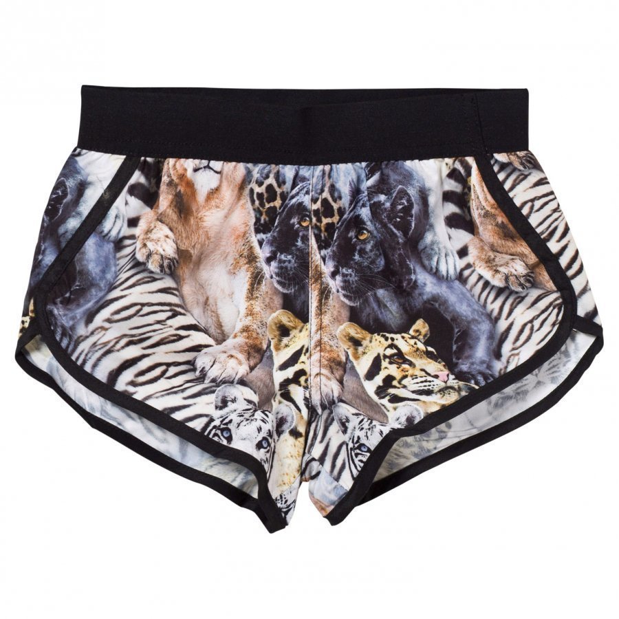 Molo Niva Trunks Wild Cats Swim Uimahousut