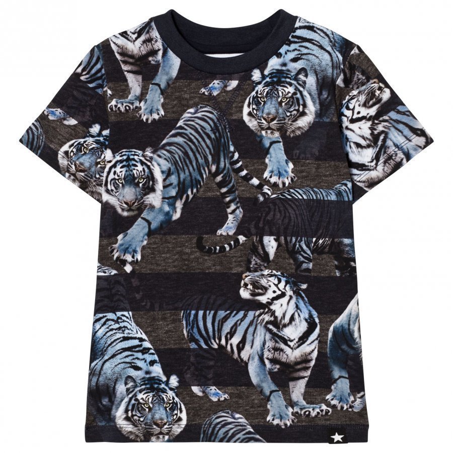 Molo Ralphie Tee Blue Tigers T-Paita