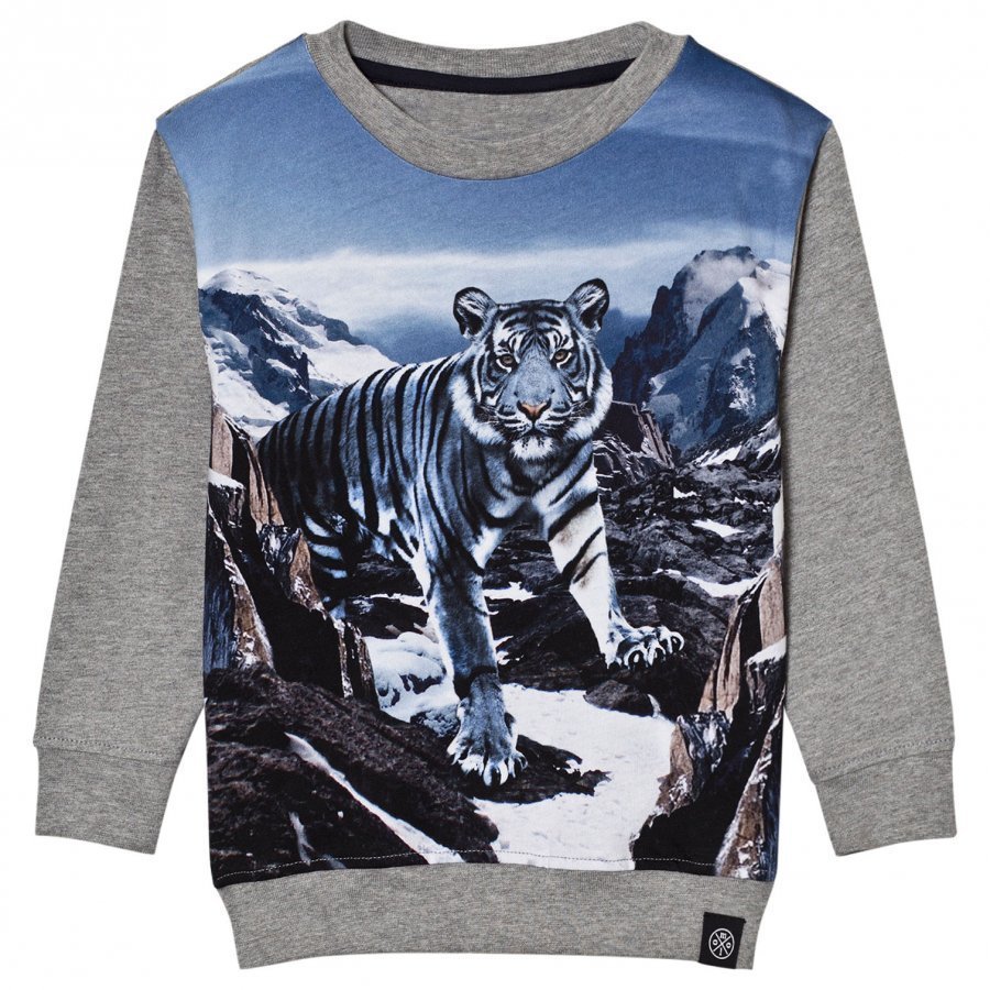 Molo Regin Long Sleeve Tee Blue Mountains Pitkähihainen T-Paita