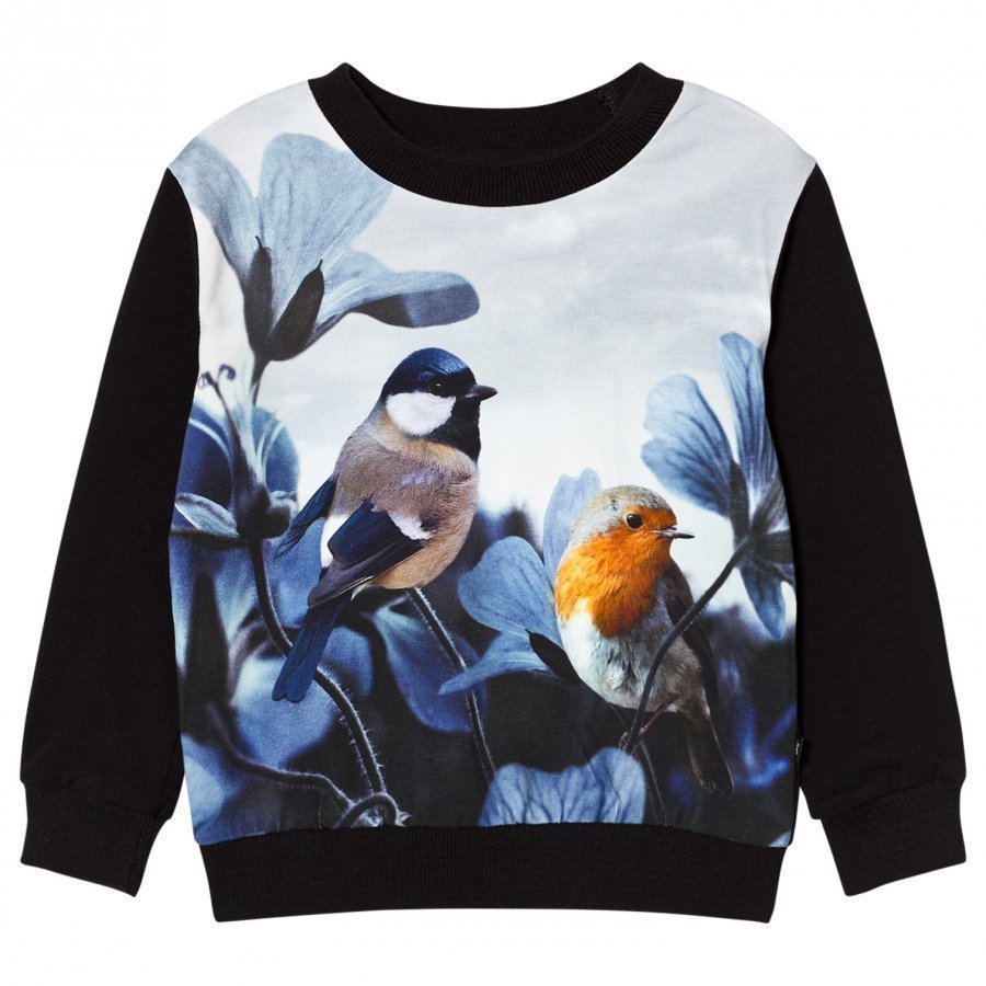Molo Regine Sweatshirt Birds Of Poetry Pitkähihainen T-Paita
