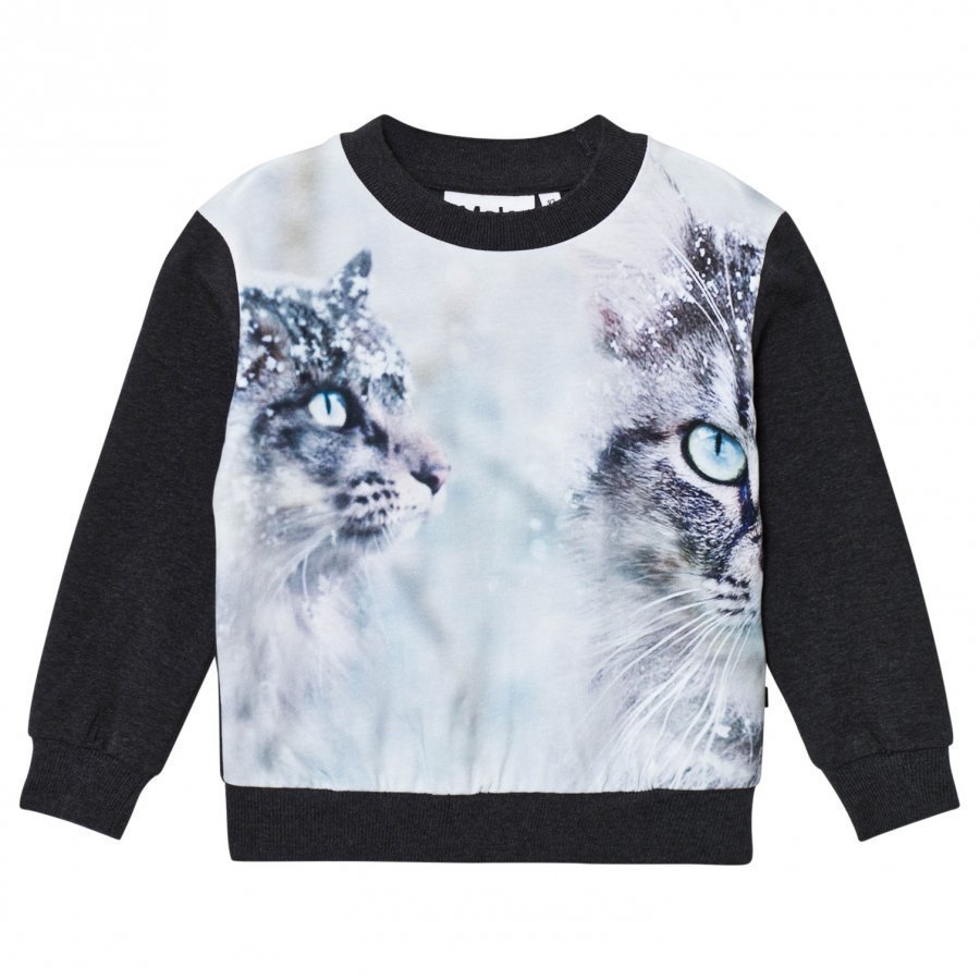 Molo Regine Sweatshirt Snow Cats Pitkähihainen T-Paita