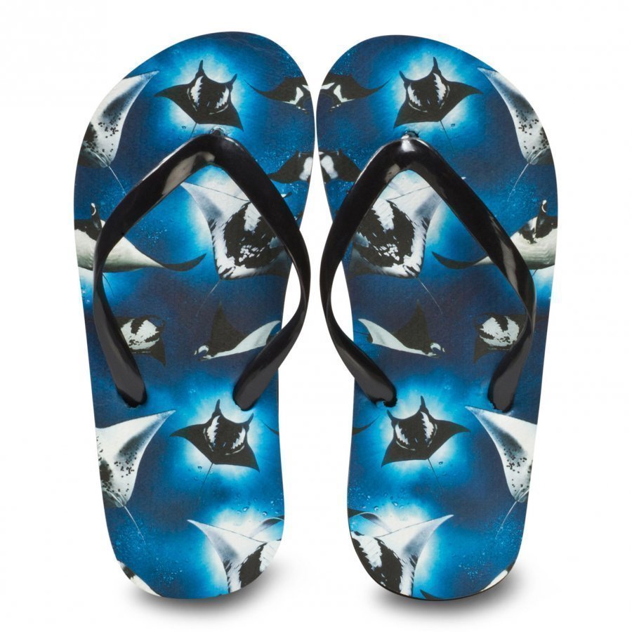 Molo Zeppo Flip Flops Stingrays Sandaalit