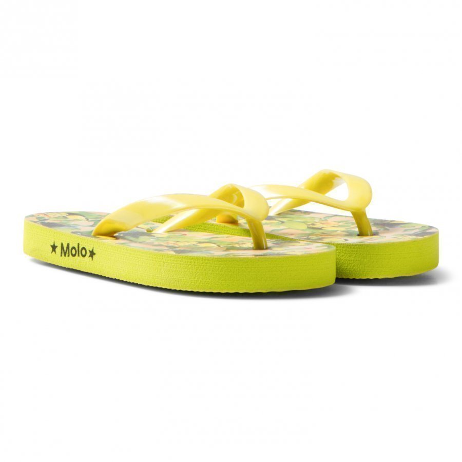 Molo Zeppo Flip Flops Toucans Sandaalit