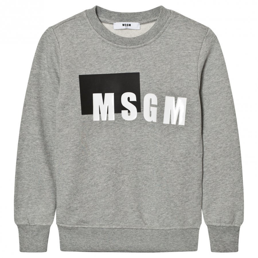 Msgm Grey Box Logo Sweatshirt Oloasun Paita