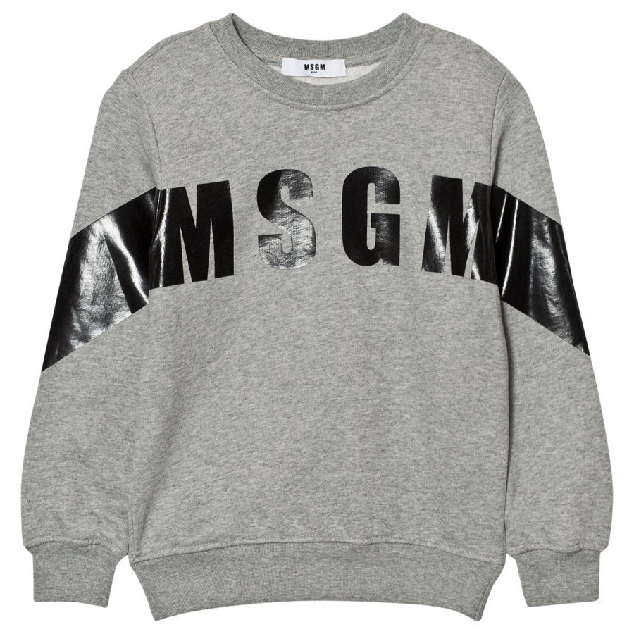 Msgm Grey Branded Stripe Sweatshirt Oloasun Paita