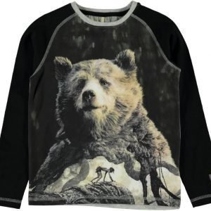 Name it Pusero Jungle bears Black