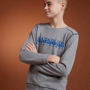 Napapijri Banak Crew Sweatshirt Harmaa