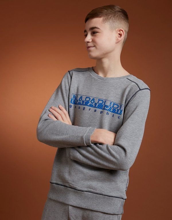 Napapijri Banak Crew Sweatshirt Harmaa