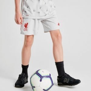 New Balance Liverpool Fc 2018/19 Kolmannet Shortsit Harmaa