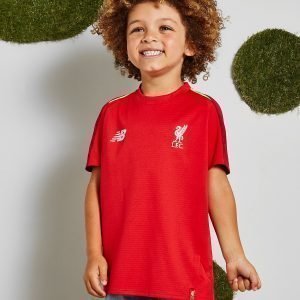 New Balance Liverpool Fc Treenipaita Punainen