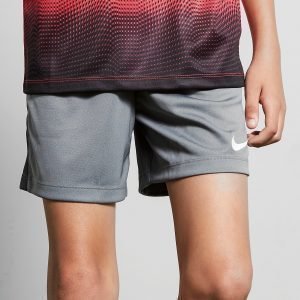 Nike Academy Shortsit Cool Grey / White