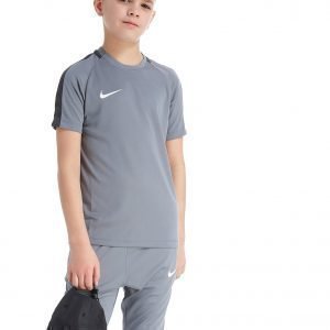 Nike Academy T-Paita Harmaa