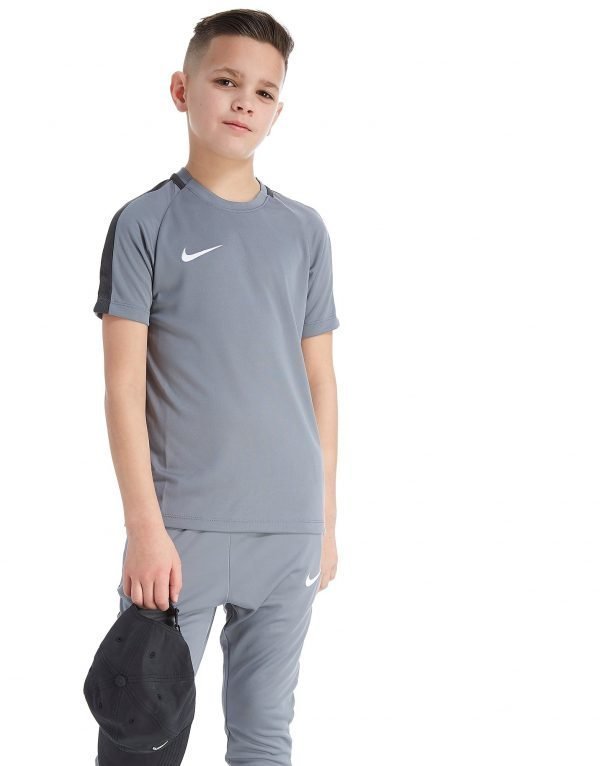 Nike Academy T-Paita Harmaa