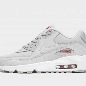 Nike Air Max 90 Harmaa