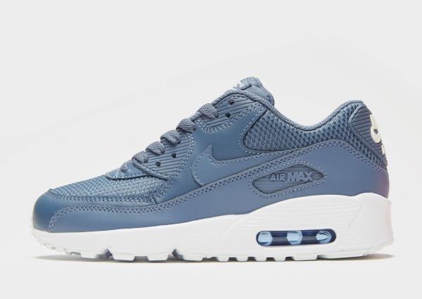 Nike Air Max 90 Sininen