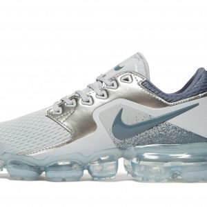 Nike Air Vapormax Wolf Grey / Silver