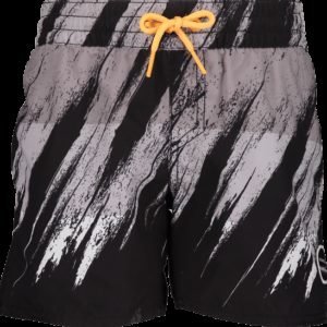 Oneill Pb Vert Horizon Shorts Shortsit