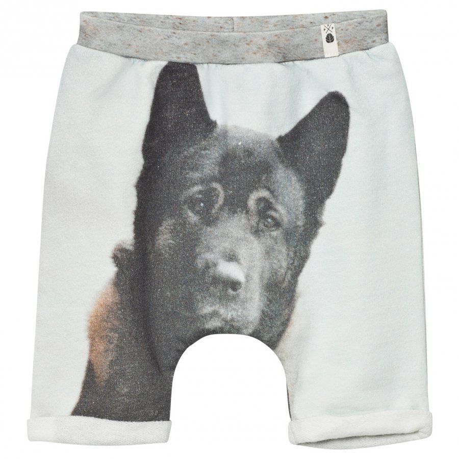 Popupshop Baggy Shorts Dog Oloasun Shortsit