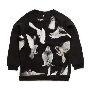 Popupshop Basic Sweat Black Birds