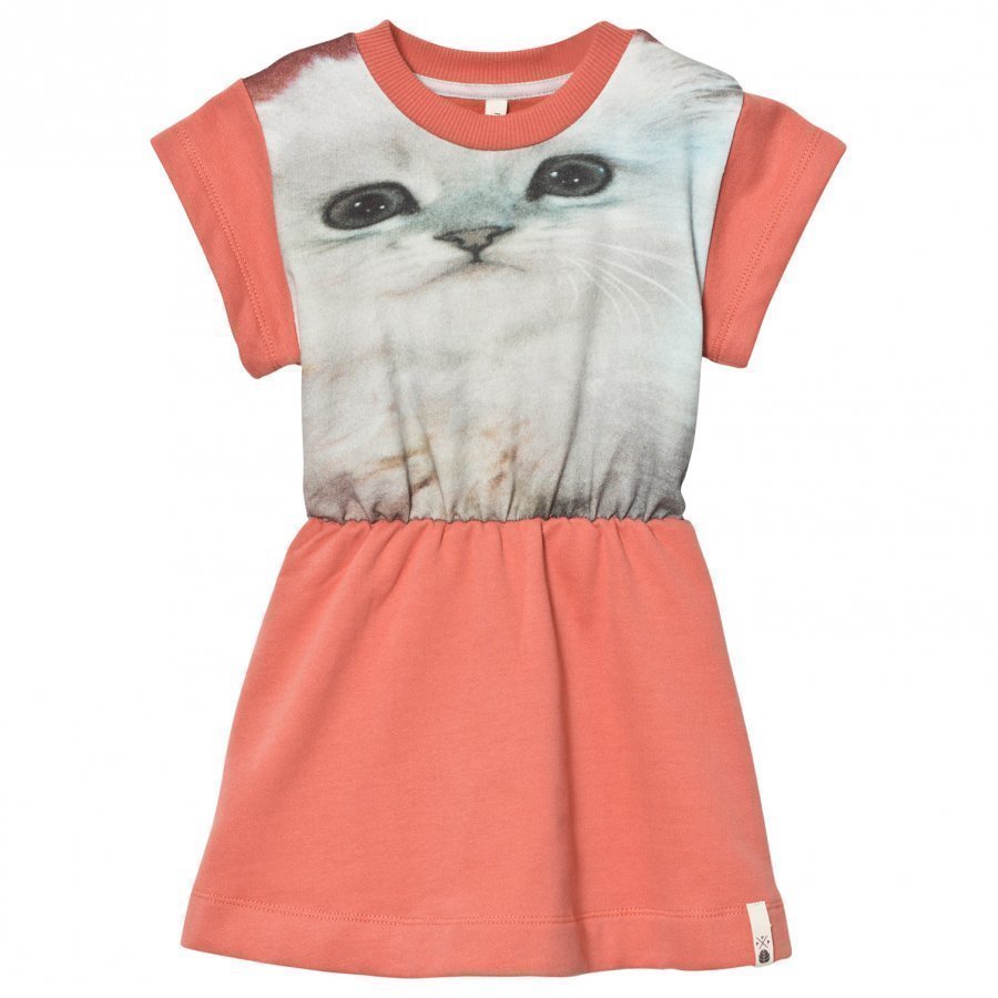 Popupshop Robbie Dress Fluffy Cat Mekko