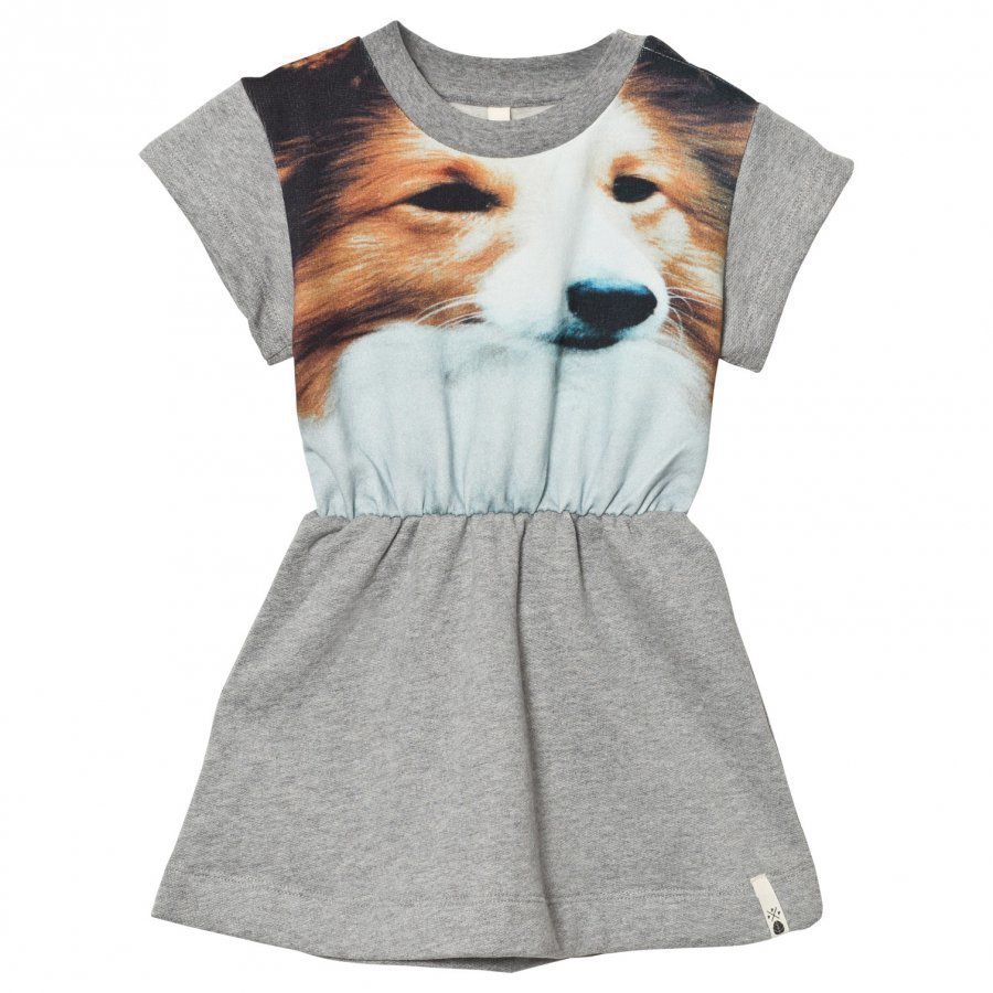 Popupshop Robbie Dress Lassie Mekko