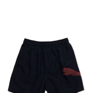 Puma Active Big Cat Beach Shorts M