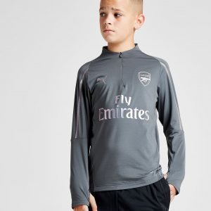 Puma Arsenal Fc 1/4 Zip Training Top Harmaa