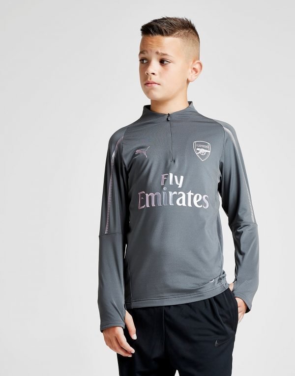 Puma Arsenal Fc 1/4 Zip Training Top Harmaa