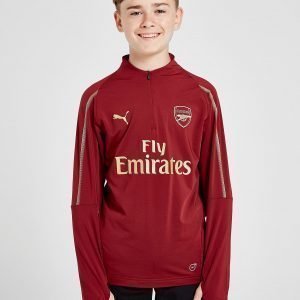 Puma Arsenal Fc 1/4 Zip Training Top Punainen